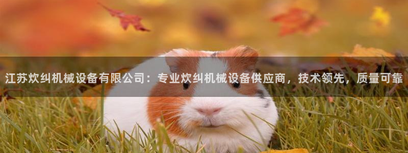 金年会官方下载：江苏炊纠机械设备有限公司：专业炊纠机械设备供应商，技术领先，质量可靠