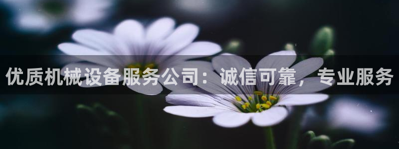 金年会mg官方在线电子游戏：优质机械设备服务公司：诚信可靠，专业服务