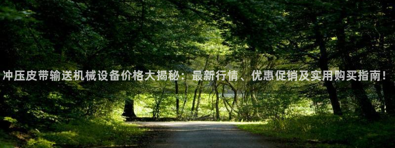 金年会pg电子官网：冲压皮带输送机械设备价格大揭秘：最新行情、优惠促销及实用购买指南！