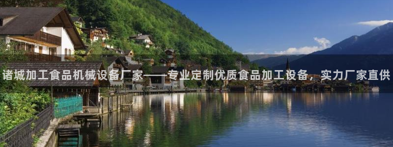 金年会官方网站入口登录网址是什么：诸城加工食品机械设备厂家——专业定制优质食品加工设备，实力厂家直供