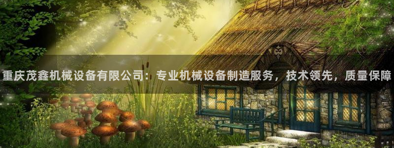 jinnianhui金年会下载：重庆茂鑫机械设备有限公司：专业机械设备制造服务，技术领先，质量保障