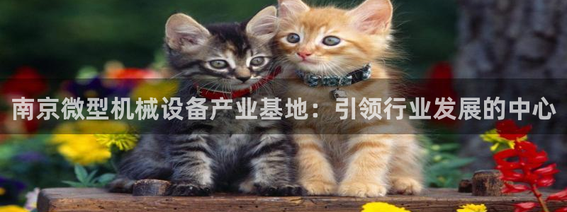 金年会体育平台登录：南京微型机械设备产业基地：引领行业发展的中心