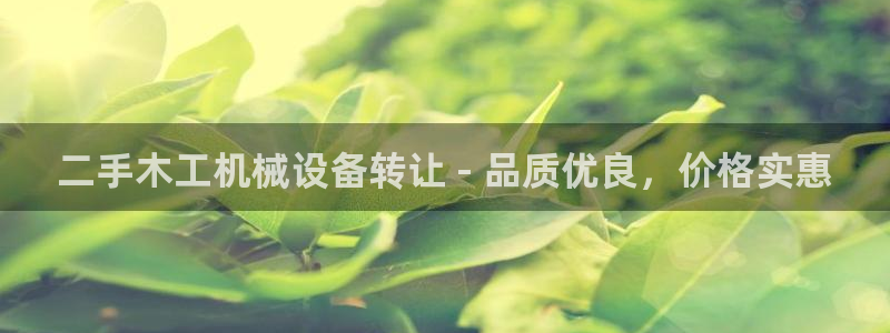 金年会官方在线登录网址是什么：二手木工机械设备转让 - 品质优良，价格实惠