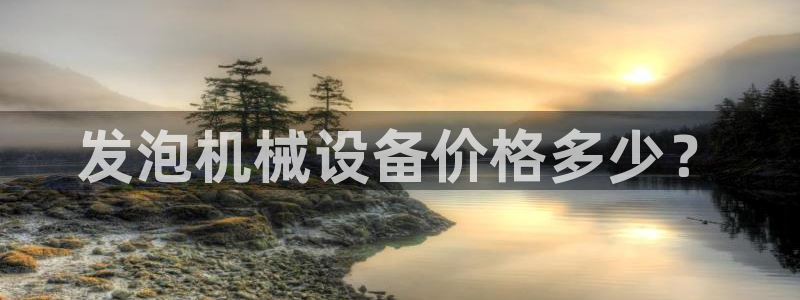 金年会app官方网站入口在哪：发泡机械设备价格多少？