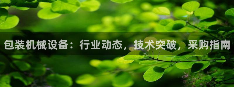 金年会网站提现一直显示审核当中怎么办