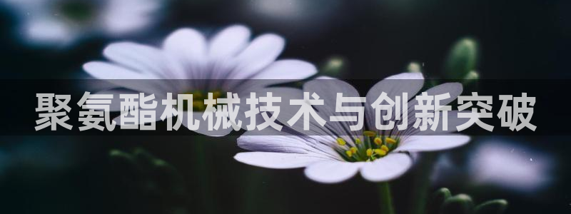 金年会黑不黑