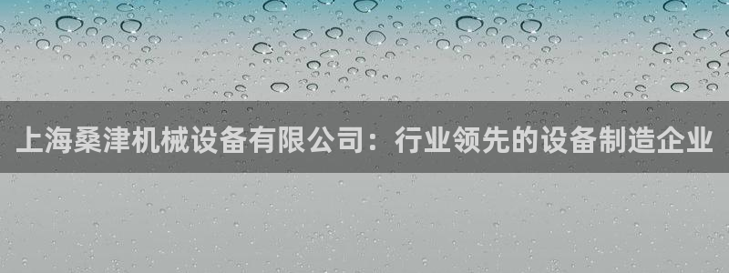 金年会体育app最新官网：上海桑津机械设备有限公司：行业领先的设备制造企业