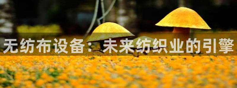 金年会官网登入