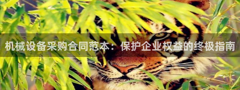 金年会金字招牌诚信至上