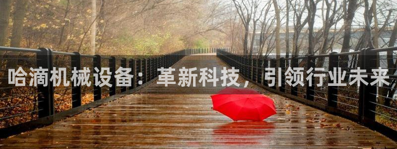 金年会赌博是诈骗