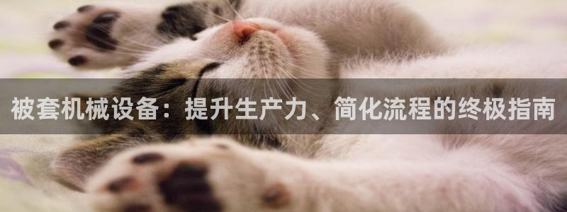 金年会金字招牌下载