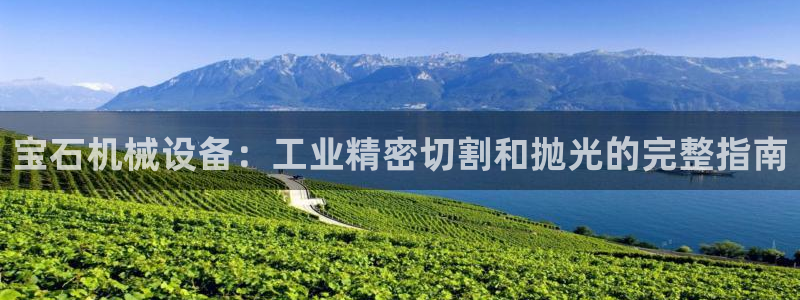 金年会下载官方网站