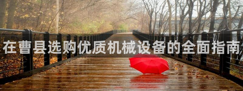 金年会体育平台注册