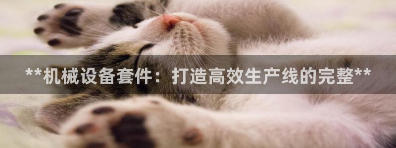 金年会体育好不好