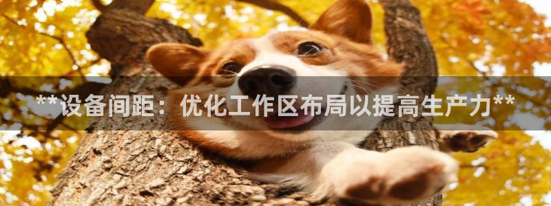 金年会官方网站首页入口