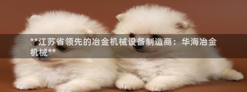 金年会pM捕鱼：**江苏省领先的冶金机械设备制造商：华海冶金
机械**