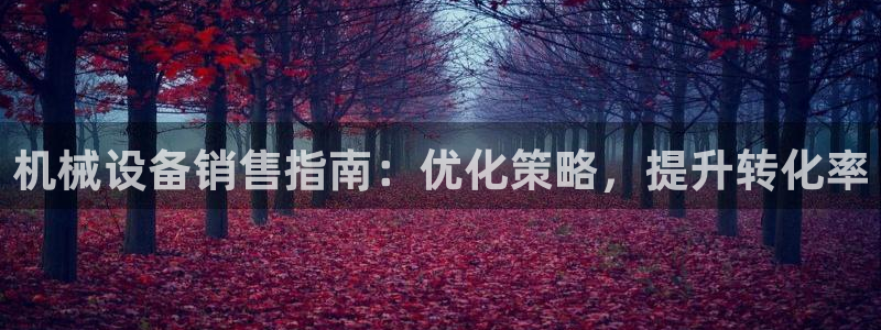 金年会官方入口2023：机械设备销售指南：优化策略，提升转化率