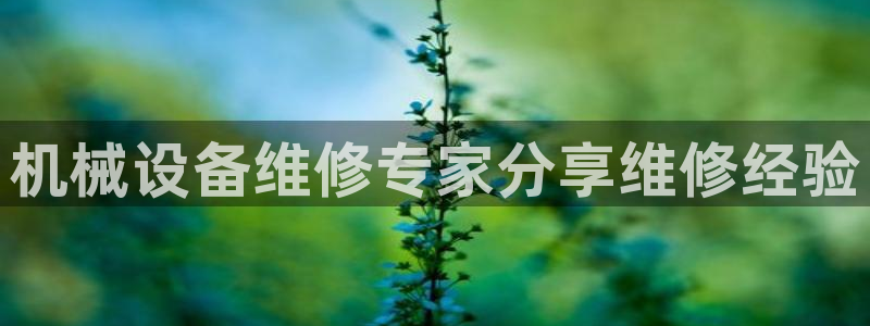 金年会体育官方入口