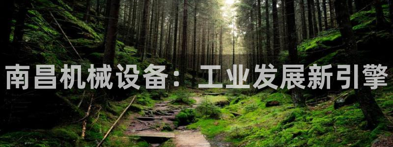 金年会体育app最新官网入口