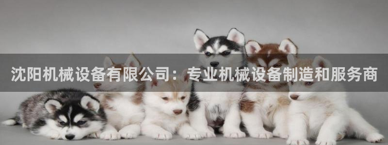 金年会体育app平台怎么样：沈阳机械设备有限公司：专业机械设备制造和服务商