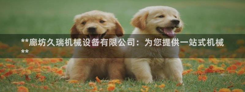 金年会金字招牌信誉至上365：**廊坊久瑞机械设备有限公司：为您提供一站式机械
**