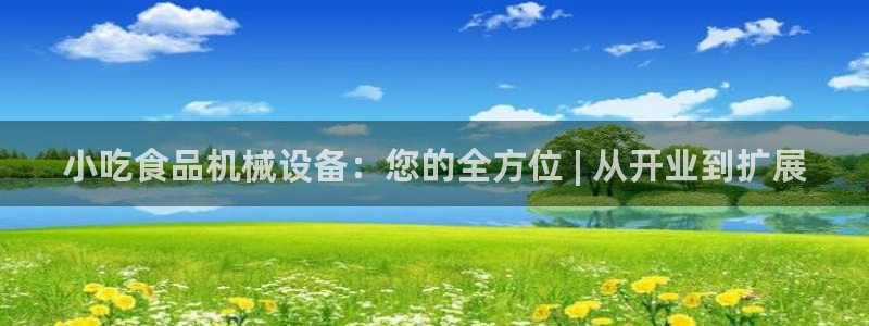 金年会体育平台怎么样：小吃食品机械设备：您的全方位 | 从开业到扩展