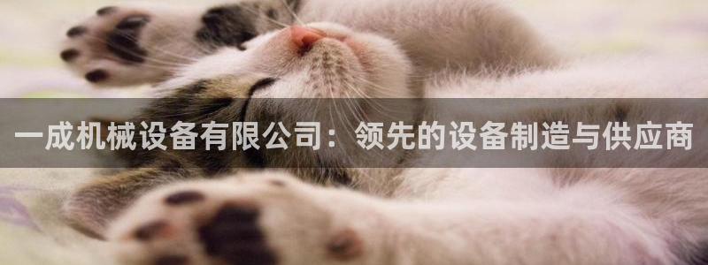 金年会提现不了：一成机械设备有限公司：领先的设备制造与供应商