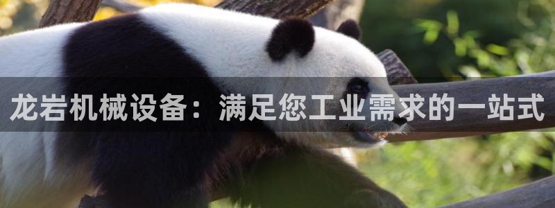 金年会网站提现一直显示审核当中怎么办：龙岩机械设备：满足您工业需求的一站式