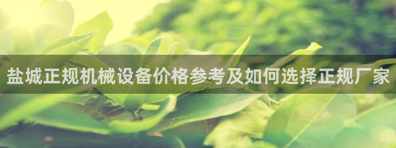 金年会体育平台登录：盐城正规机械设备价格参考及如何选择正规厂家