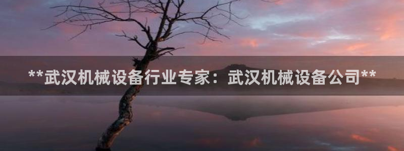 金年会网站可靠吗：**武汉机械设备行业专家：武汉机械设备公司**