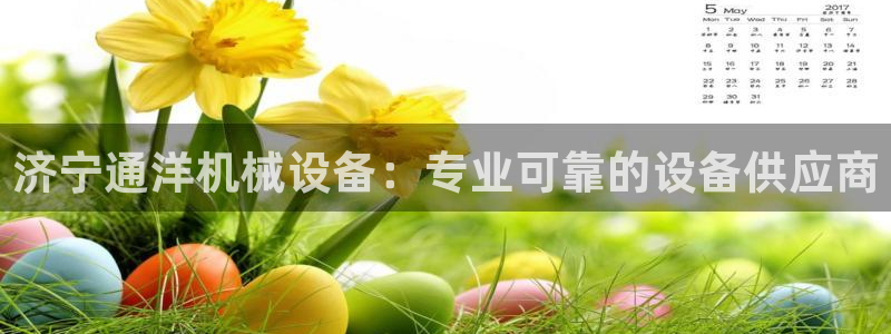 金年会体育查处：济宁通洋机械设备：专业可靠的设备供应商