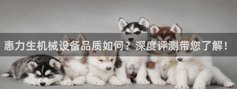 金年会网站怎么样：惠力生机械设备品质如何？深度评测带您了解！