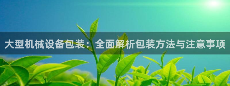 金年会官方下载入口：大型机械设备包装：全面解析包装方法与注意事项