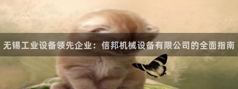金年会入口：无锡工业设备领先企业：信邦机械设备有限公司的全面指南