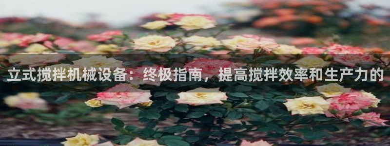 金年会体育下载APP：立式搅拌机械设备：终极指南，提高搅拌效率和生产力的