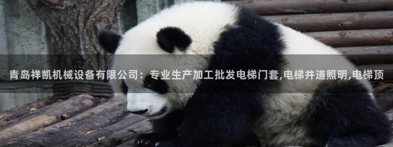 jinnianhui金年会世界杯：青岛祥凯机械设备有限公司：专业生产加工批发电梯门套,电梯井道照明,电梯顶