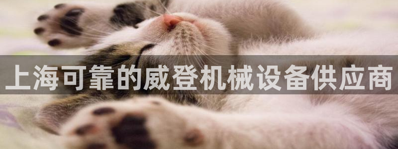 金年会官方在线入口网址大全：上海可靠的威登机械设备供应商