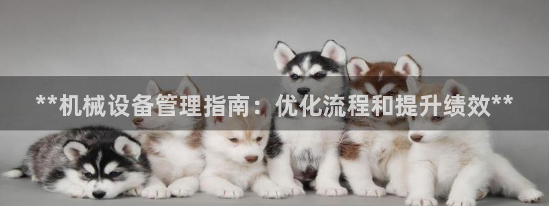 金年会sports：**机械设备管理指南：优化流程和提升绩效**