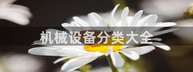 金年会官方网址查询