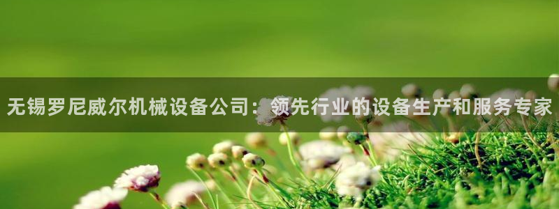 金年会 金字招牌诚信至上Vip：无锡罗尼威尔机械设备公司：领先行业的设备生产和服务专家