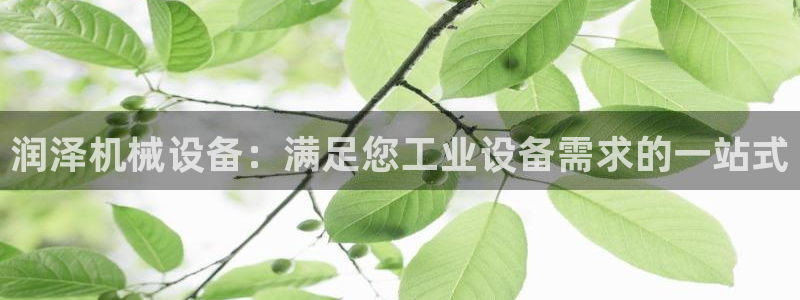 金年会体育论坛官网：润泽机械设备：满足您工业设备需求的一站式