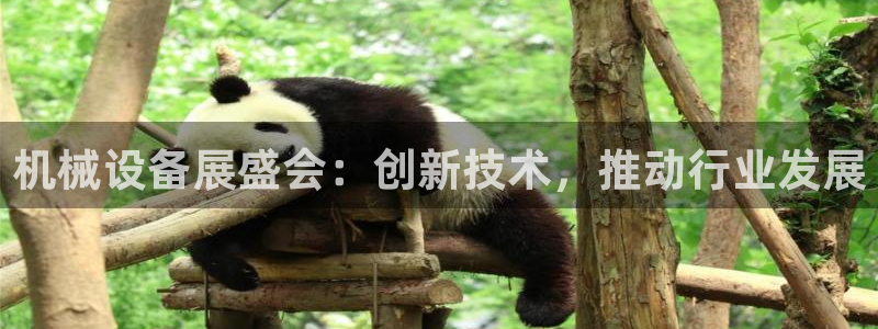 金年会官方在线