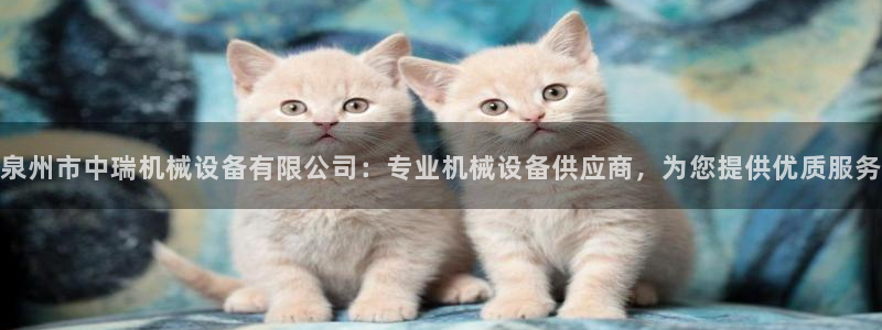 金年会体育论坛：泉州市中瑞机械设备有限公司：专业机械设备供应商，为您提供优质服务
